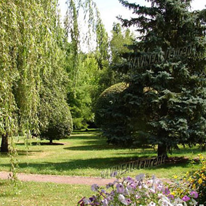 entretien jardin mont pres chambord