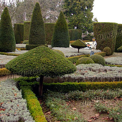 entretien jardin cheverny